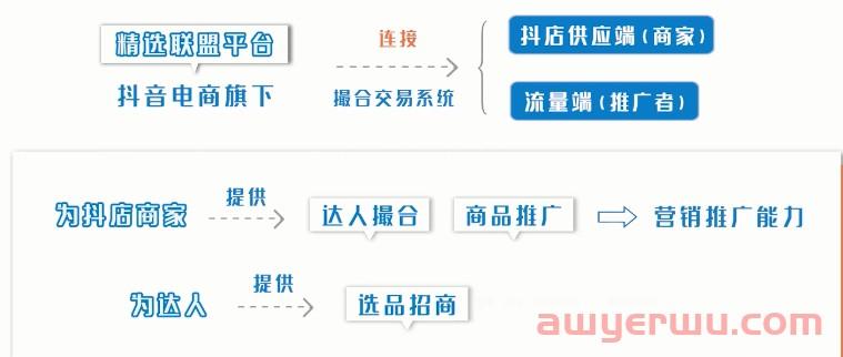 抖音小店精选联盟怎么加入？抖店及小店商品入驻最全条件汇总 第1张