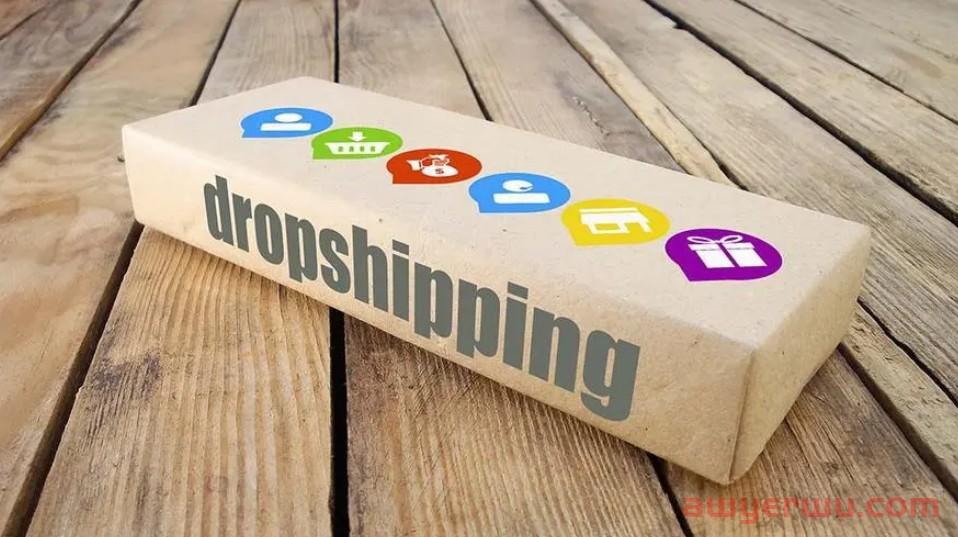 Dropshipping是什么意思?做Dropshipping有什么需要注意的? 第3张 Dropshipping是什么意思?做Dropshipping有什么需要注意的? 第3张