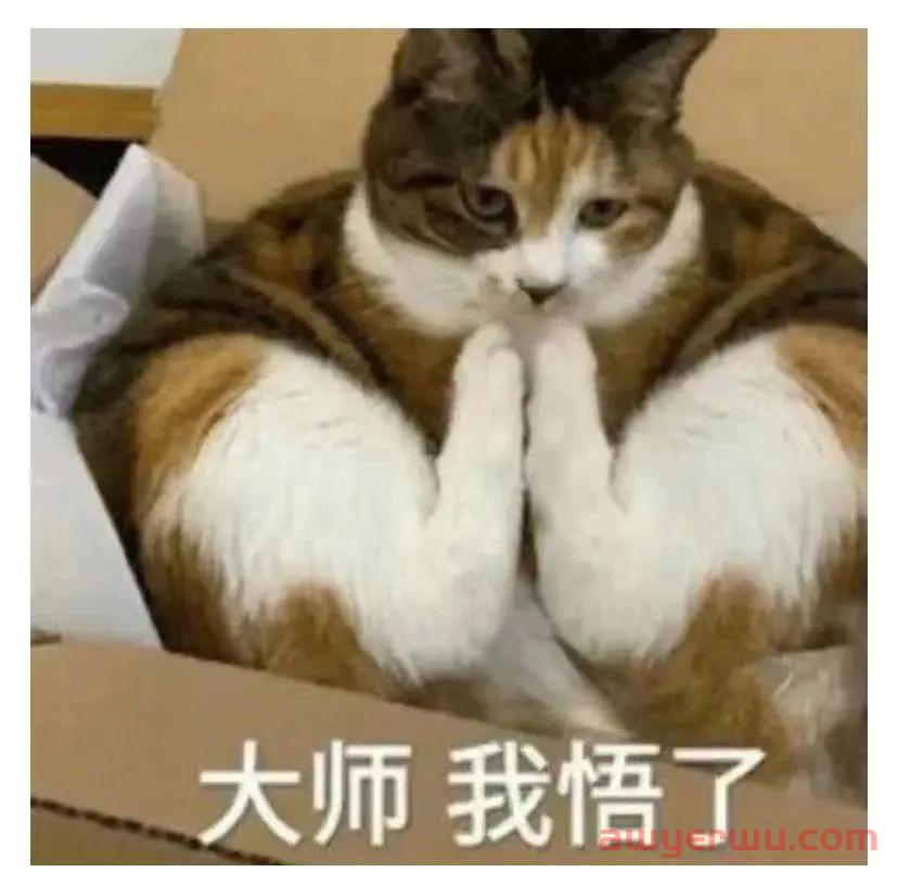 沃尔玛风口怎么抓？当心跟卖偷走订单 第4张