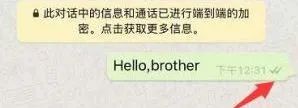 WhatsApp还有哪些拓客功能是你不知道的？ 第4张