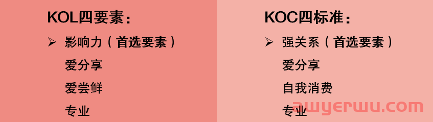 KOC是什么? 和KOL有什么区别?跨境卖家要不要做KOC营销? 第1张 KOC是什么? 和KOL有什么区别?跨境卖家要不要做KOC营销? 第1张