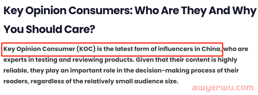 KOC是什么? 和KOL有什么区别?跨境卖家要不要做KOC营销? 第3张 KOC是什么? 和KOL有什么区别?跨境卖家要不要做KOC营销? 第3张
