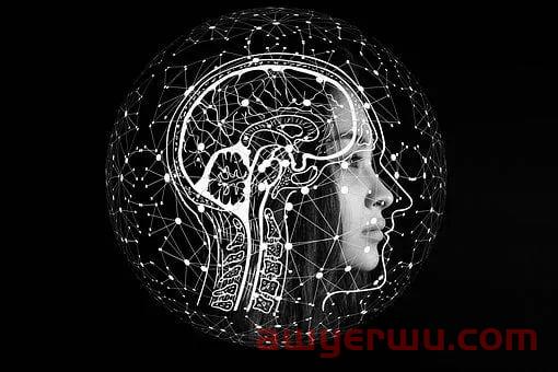ChatGPT账号自己注册也是要钱的，购买一个账号永久使用吧 第1张