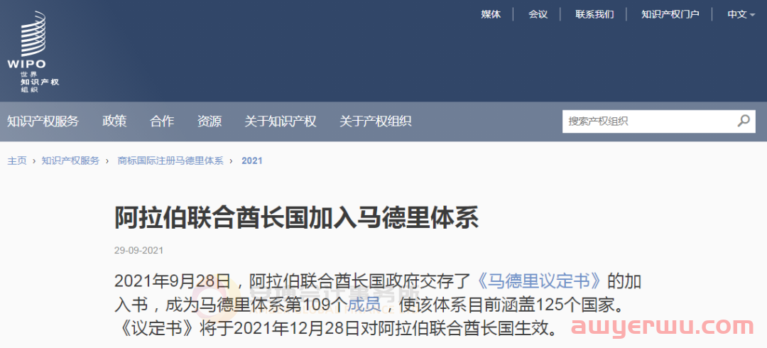 阿联酋商标注册全流程攻略(2023年最新版) 第1张