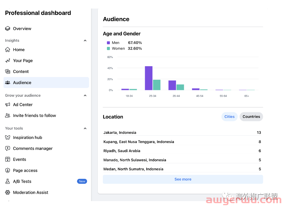如何使用 Facebook 受众洞察进行更有效的定位？ 第2张