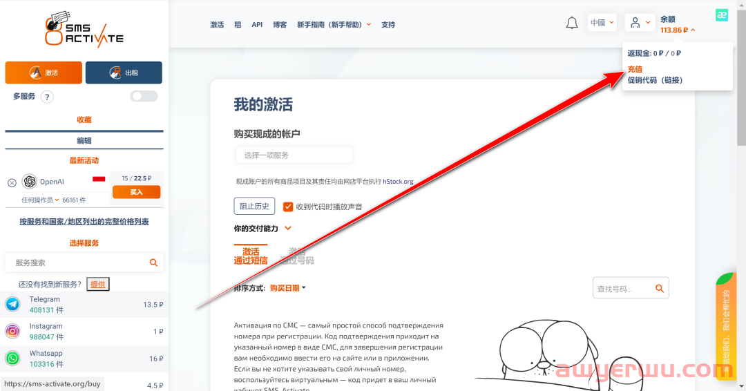最详细的ChatGPT账号注册教程 第8张