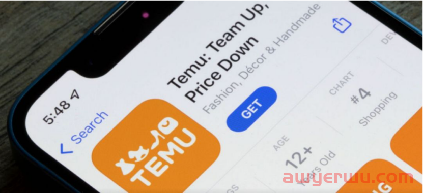 Temu，究竟想革谁的命？ 第3张