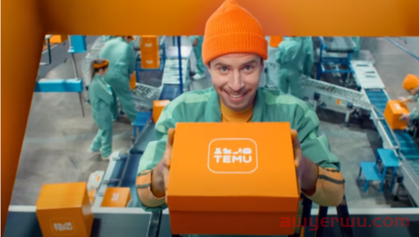 Temu，究竟想革谁的命？ 第1张