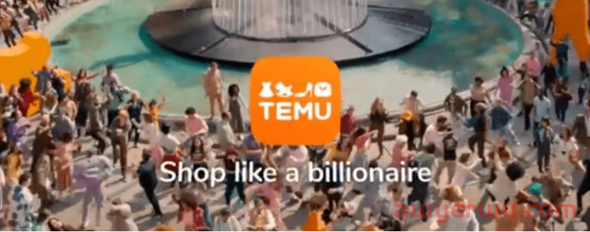 Temu，究竟想革谁的命？ 第10张