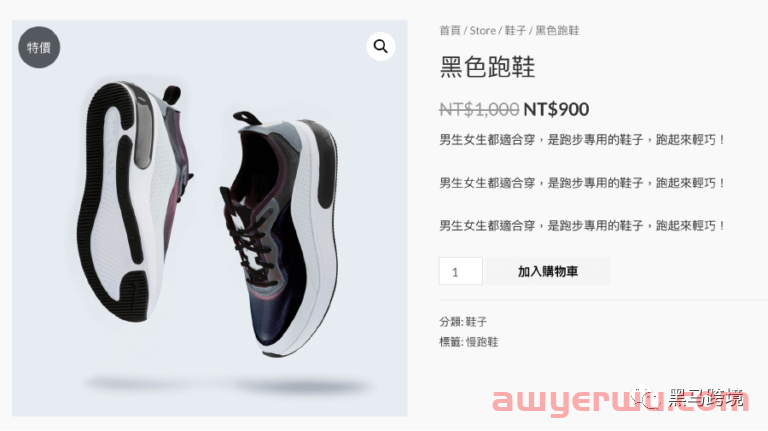 如果你担心shopify被封，可以试试WordPress 自主搭建跨境独立站。 第33张