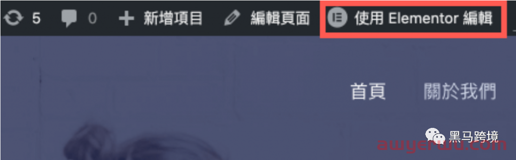 如果你担心shopify被封，可以试试WordPress 自主搭建跨境独立站。 第40张