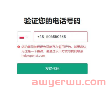 ChatGPT账号注册 最全教程 手把手教会！ 第17张