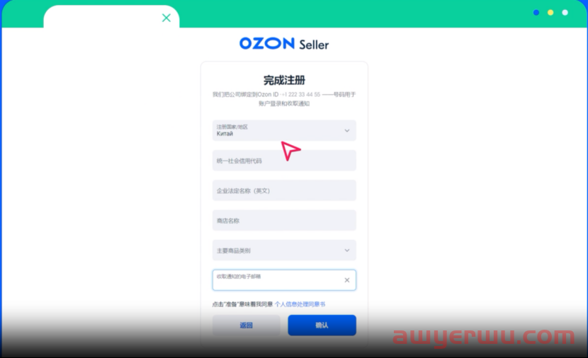 OZON注册全攻略 第2张