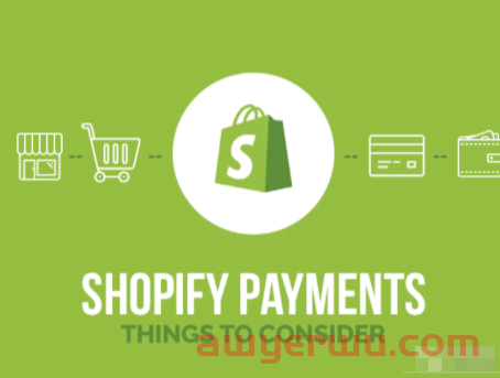 什么是 Shopify Payment ？国内商家如何开通！ 第1张