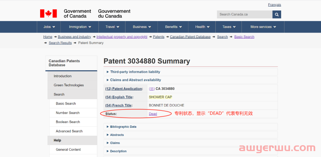如何查询产品是否存在侵权问题？ 第11张
