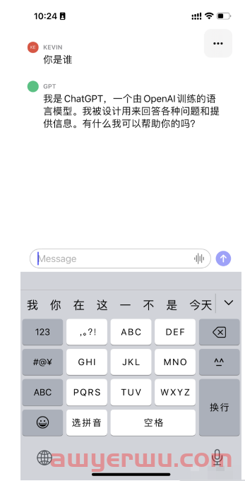 ChatGPT官方 iOS APP上线!速度极快且免费、语言识别、GPT-4疑似无限制! 第10张 ChatGPT官方 iOS APP上线!速度极快且免费、语言识别、GPT-4疑似无限制! 第10张