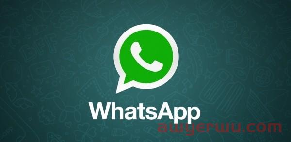 WhatsApp群发软件有哪些 第1张