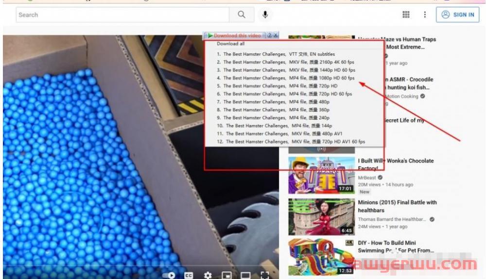 YouTube视频下载方法有哪些?这三个可以试一试 第7张
