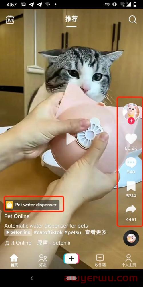 你知道TikTok自带流量的爆款内容怎么做吗？ 第2张