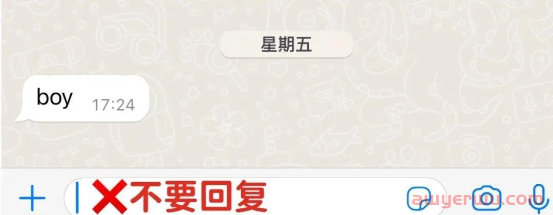 WhatsApp如何养号如何不被封？2023最新whatsapp安卓下载安装包 第2张