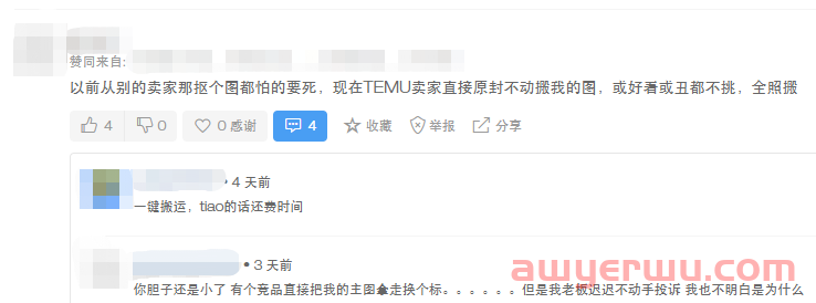 Temu对标亚马逊爆款，卖家：比跟卖还狠！ 第2张