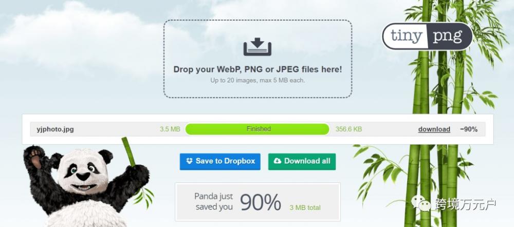 谷歌SEO图片优化的7个技巧 第1张