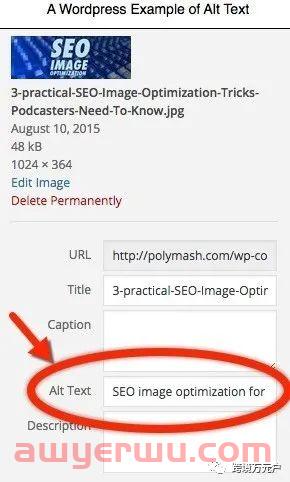 谷歌SEO图片优化的7个技巧 第3张