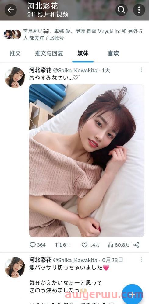 推特 还是 X ？如何下载和注册Twitter账号？(安卓版) 第2张