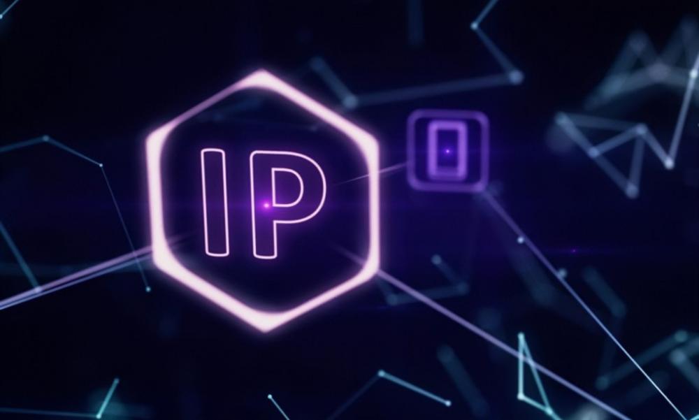 动态IP代理为什么比静态IP代理便宜的多？ 第2张