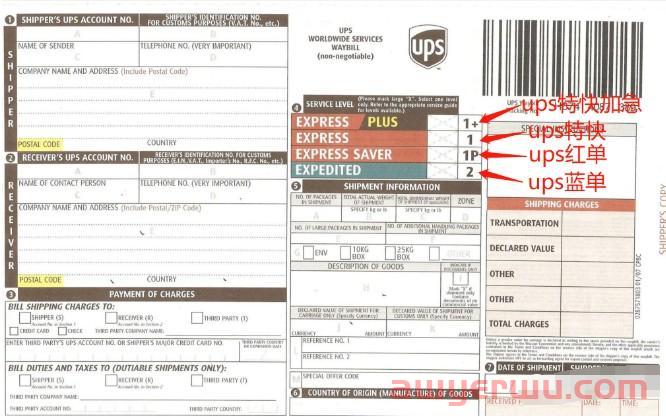 UPS红单蓝单是什么？怎么选择更划算？ 第1张