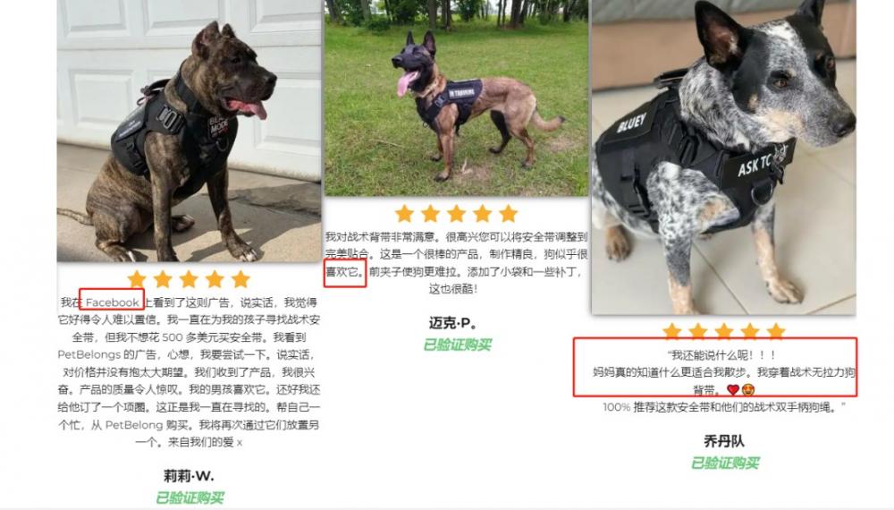 独立站竞品怎么分析？两个案例教会你 第22张