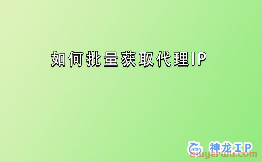 小白必看！海外静态ip和动态ip解析！ 第1张