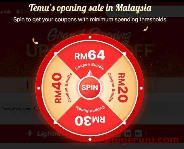 横扫东南亚！Temu上线马来西亚站点 第2张