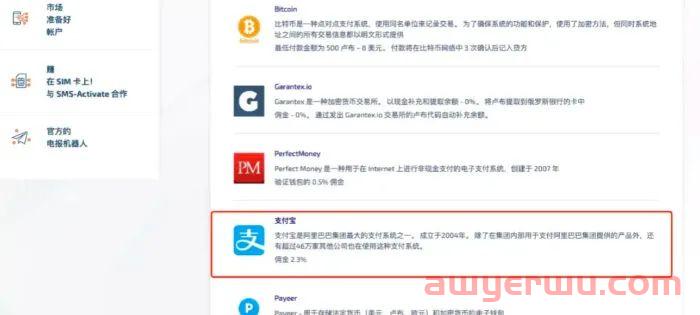 什么是 国外接码平台？如何使用 国外接码平台 SMS-Activate？ 第2张