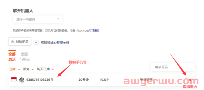 什么是 国外接码平台？如何使用 国外接码平台 SMS-Activate？ 第7张