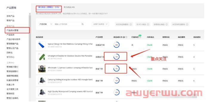 阿里巴巴国际站运营每天做什么（阿里国际站运营工作日常内容） 第2张