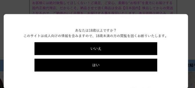 成人用品独立站如何运营？ 第2张