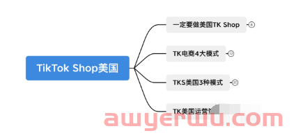 为什么要做美国TikTok电商？TikTok美国电商运营策略你都懂吗 第1张