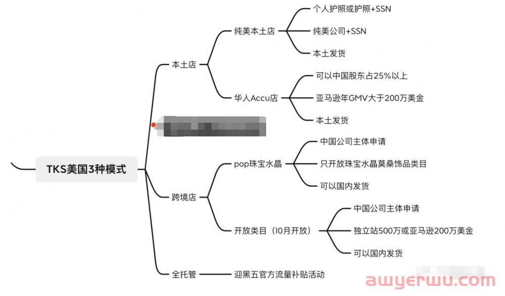 为什么要做美国TikTok电商？TikTok美国电商运营策略你都懂吗 第5张