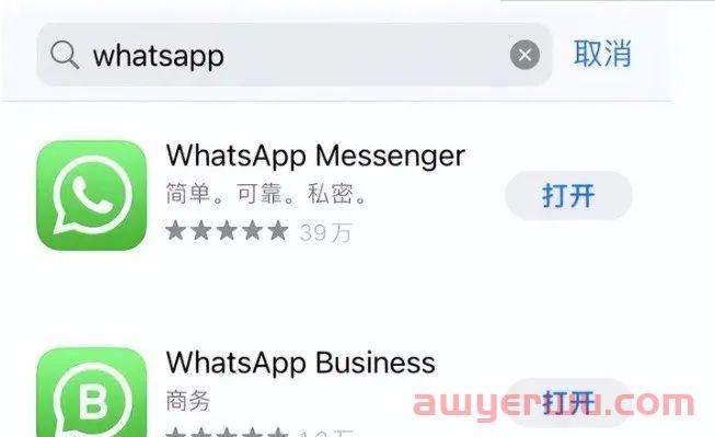 【建议收藏】WhatsApp从小白号到无所不能的开发进阶技巧汇总 第2张