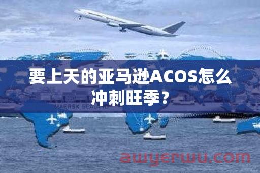 要上天的亚马逊ACOS怎么冲刺旺季？