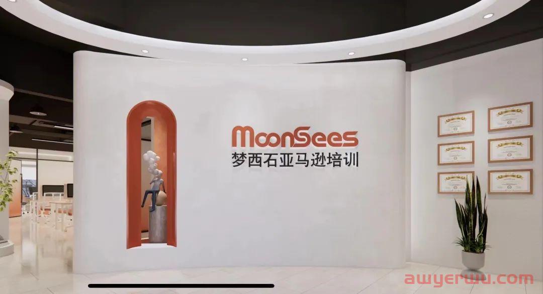 学习亚马逊运营，为什么选择MoonSees? 第23张