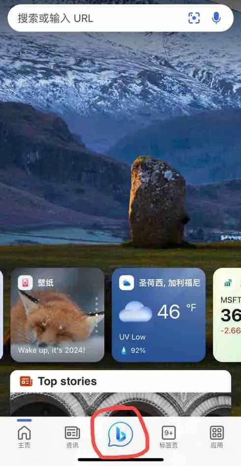 如何白嫖国外官方原版的ChatGPT-4？保姆级教程来了 第7张
