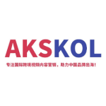 最低成本! 红人营销方案-amz influencer联盟分销达人（详细解读版） 第3张
