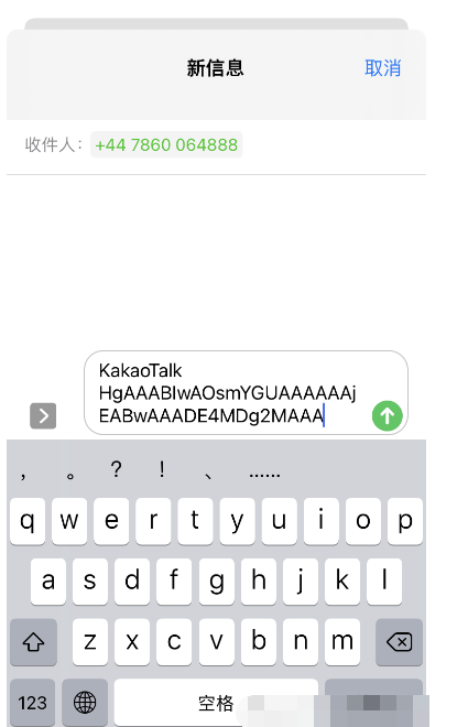韩国聊天工具KakaoTalk之注册，手把手图文教程 第7张