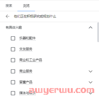 谷歌广告2024最新攻略：让你更精确地定位目标受众 第15张