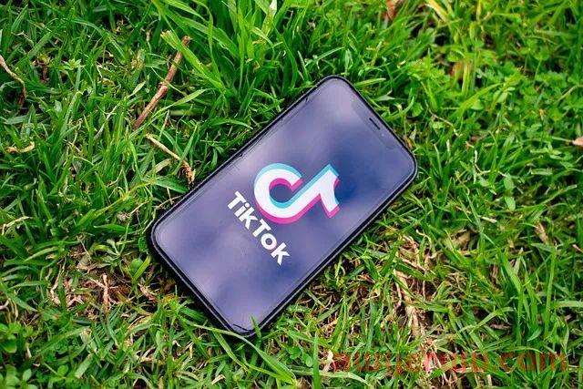 疯狂小杨哥们集体出海！TikTok成新风口！ 第6张