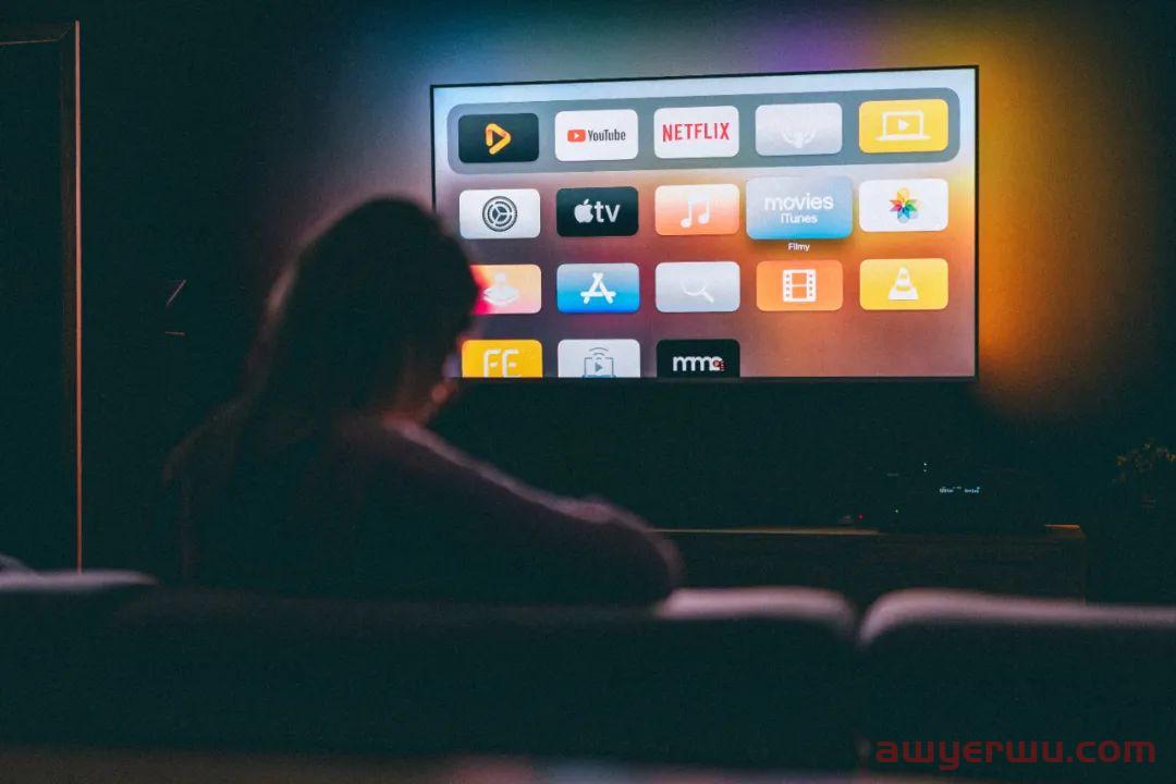 奈飞Netflix是什么？怎么使用 第3张