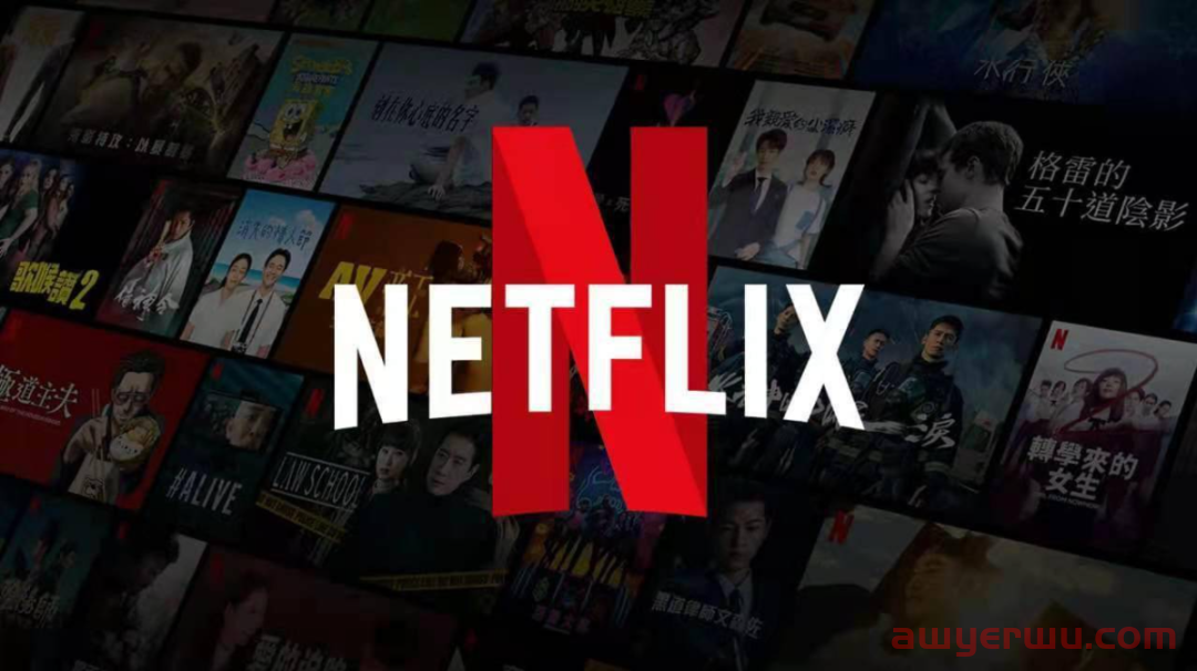 奈飞Netflix是什么？怎么使用 第6张