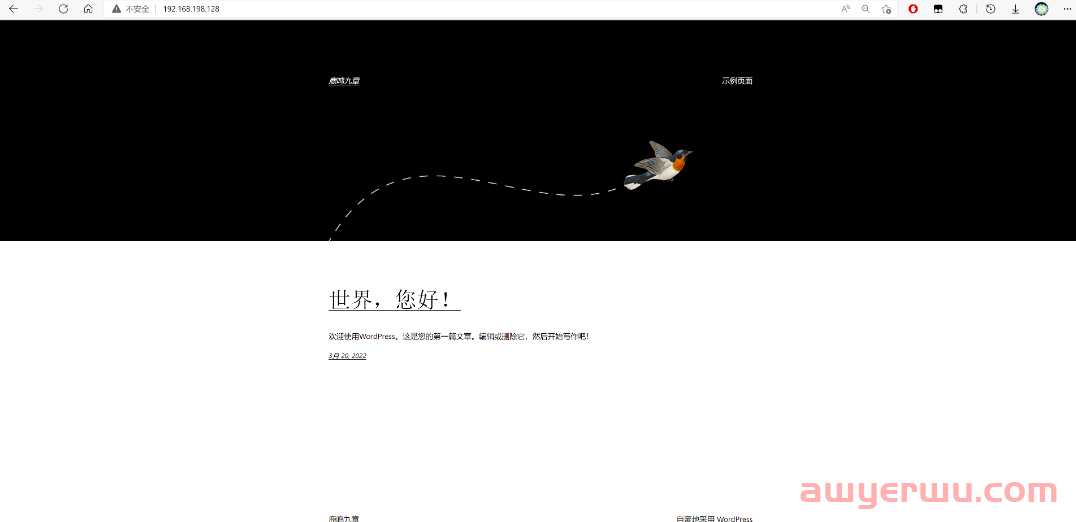 2024年最新Wordpress建站，教你一步一步搭建自己的网站，最全面最详细教程 第109张